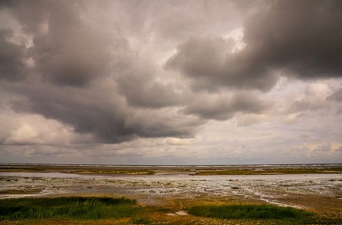 Het Groene Strand van Ballum, Ameland