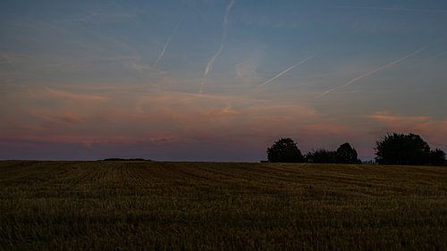 Zonsondergang boven graanveld