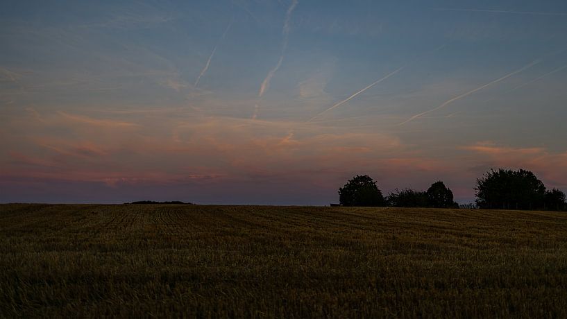 Zonsondergang boven graanveld van Patrick Mertens aka Pat Probleme