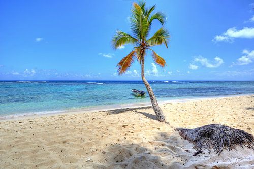 Bij Playa Fronton op het schiereiland Samaná