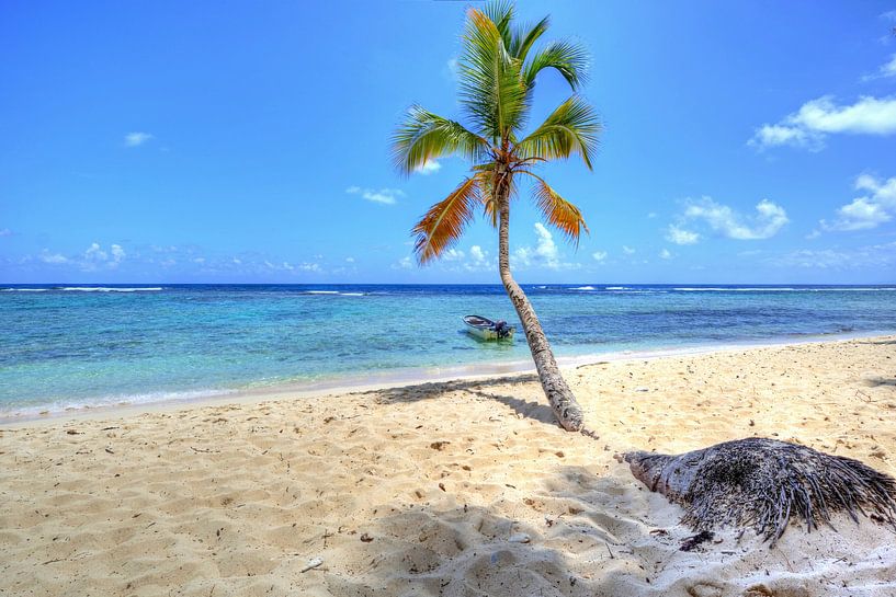 Bij Playa Fronton op het schiereiland Samaná van Roith Fotografie