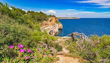 Zicht op rotsachtige kustlijn op Mallorca, Spanje Balearen van Alex Winter