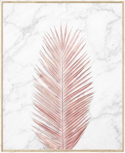 Pink Palm Leaf on White Marble Background