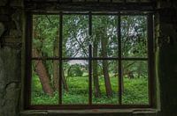 Das Fenster 1