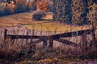 Herfststemming