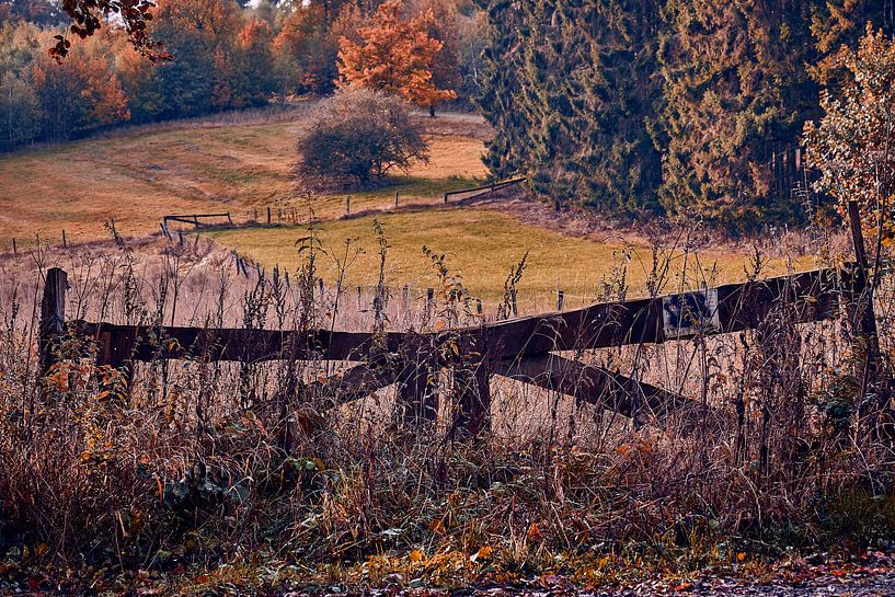 Herfststemming van Momentaufnahme | Marius Ahlers