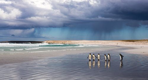 Après la tempête sur Claudia van Zanten