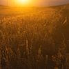 Paysage au coucher du soleil en Mongolie | Photographie de nature sur Nanda Bussers