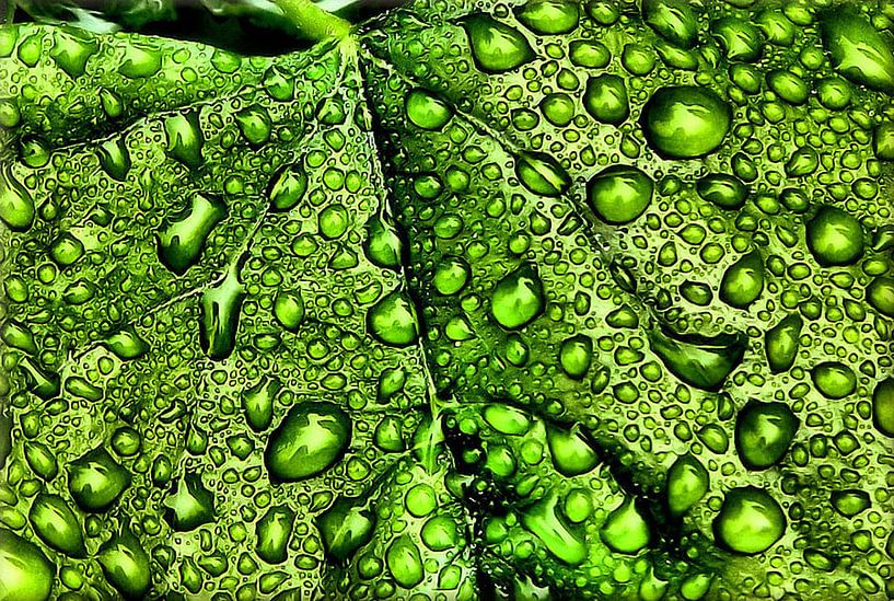 Ici et là par erikaktus gurun