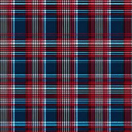 Plaid Vintage # XXXVII sur Whale & Sons