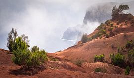 Entdecken Sie die atemberaubenden Landschaften von Agulo auf La Gomera, Kanarische Inseln von PhotoCluster