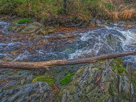 Gefallener Ast im Fluss Bayehon von Nature Life Ambience