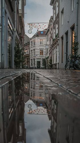 Fast lane 's-Hertogenbosch