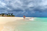 Manchebo-Strand Aruba von Wim van Berlo Miniaturansicht