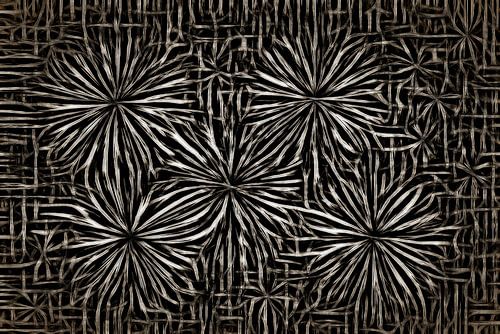 Steel Flowers