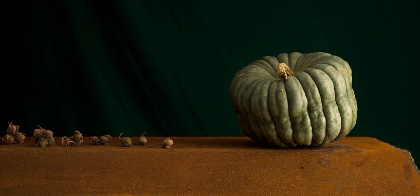 SL-310 Pumpkin Hazelnuts by Hay Hermans