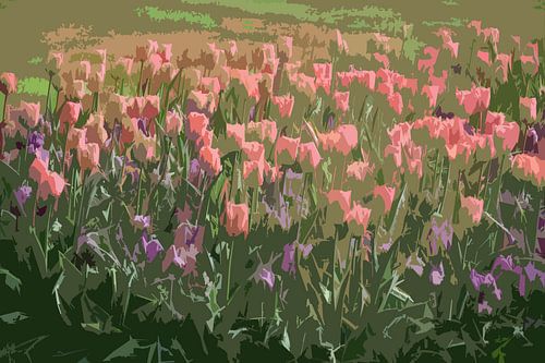 Tulpen