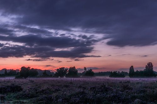 Zonsondergang boven de paarse heide