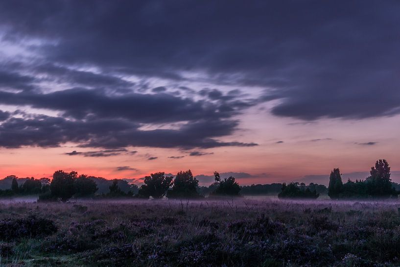 Zonsondergang boven de paarse heide von Bertram Bergink