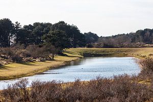 waterleidingduinen