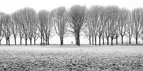 A winter walk