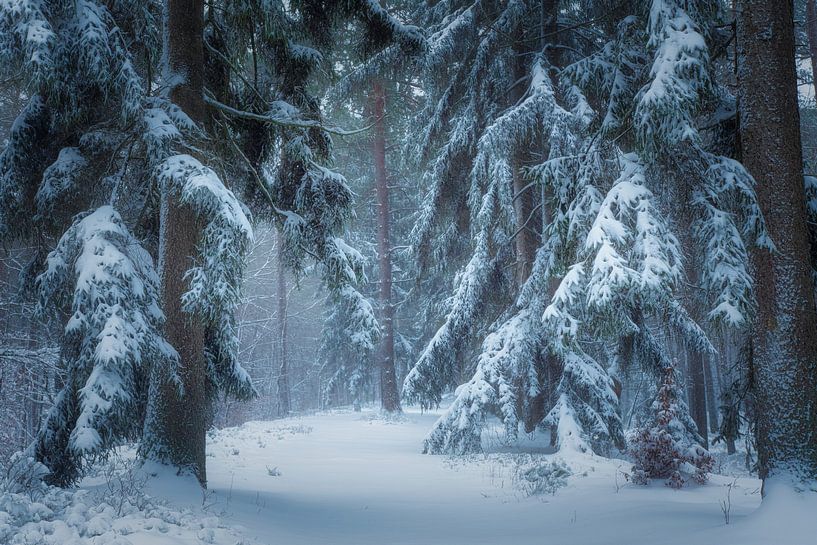 Loenen Wasserfall im Winter von Rob Sprenger