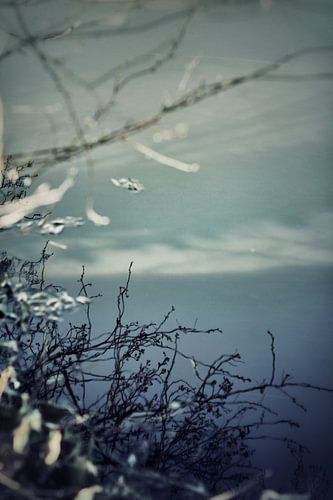 spiegeling aan de waterkant