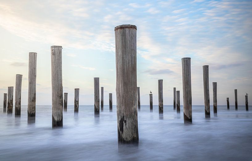 Palm village Petten during sunset. by Corné Ouwehand