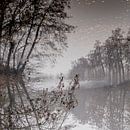 Geheimzinnige spiegeling van bomen in water van Atelier van Saskia thumbnail