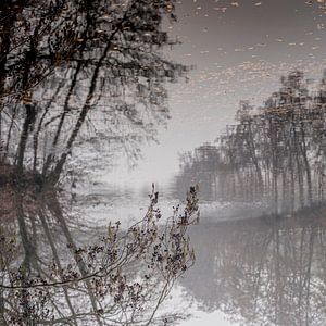 Mystérieux reflet des arbres dans l'eau sur Atelier van Saskia