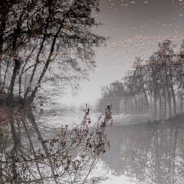 Geheimzinnige spiegeling van bomen in water van Atelier van Saskia