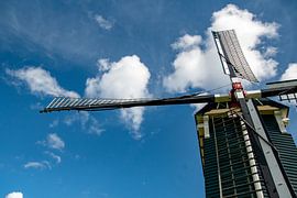 Molen Zeldenrust van Michael van Eijk