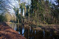 Landgoed Marquette spiegeling