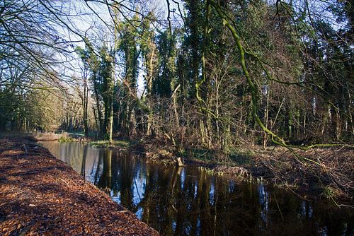 Landgoed Marquette spiegeling