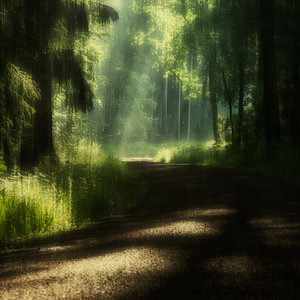 Waldweg