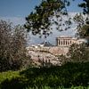 Athene, zicht op de akropolis door de bomen heen van Eric van Nieuwland