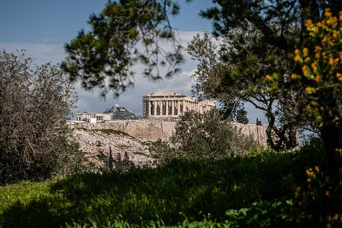 Athene, zicht op de akropolis door de bomen heen
