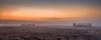 Grave mounds in the mist