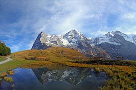 Das Dreigestirn Eiger, Mönch und Jungfrau von Gerhard Albicker