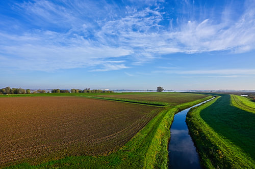 Blick über den Rand des Biesbosch unter einem holländischen Himmel