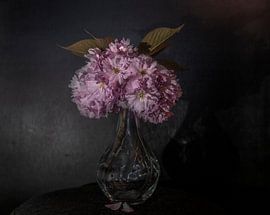 Blume von Petra den Tenter