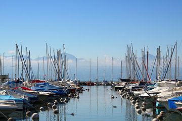 Haven met zeilboten in Vidy, Lausanne, Zwitserland van Maarten Pietersma