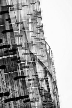 Between Light and Shadow