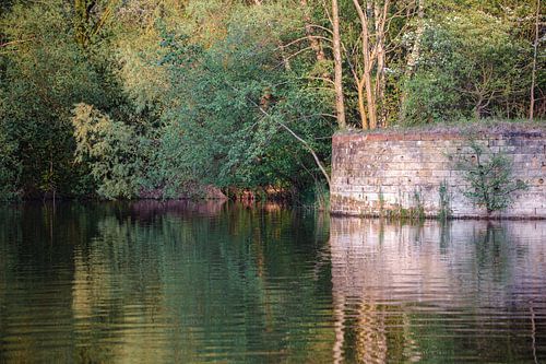 Natural simplicity of water, nature and light