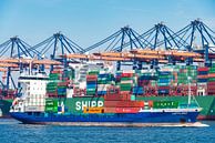 Vrachtschip met containers verlaat de haven van Rotterdam van Sjoerd van der Wal Fotografie thumbnail