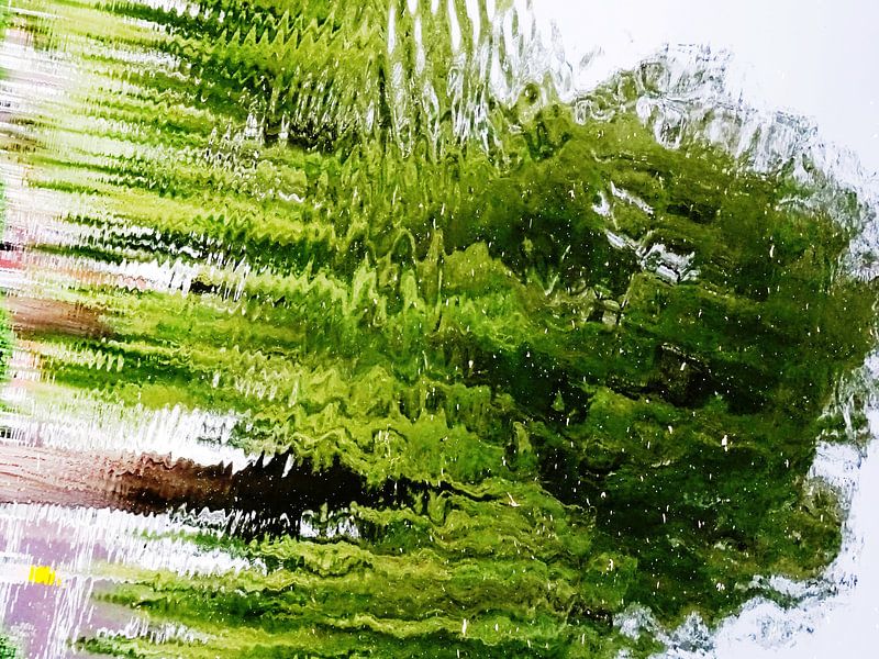 Tree Magic 124 von MoArt (Maurice Heuts)