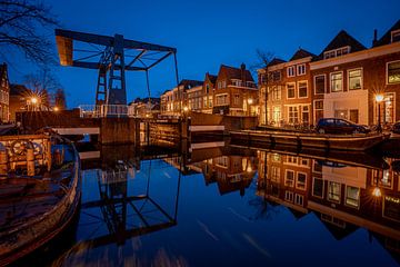Leiden in Lockdown: Nieuwe Rijn by Carla Matthee