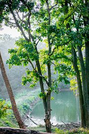 See im Mudumalai National Reserve von Lens & Light Photography