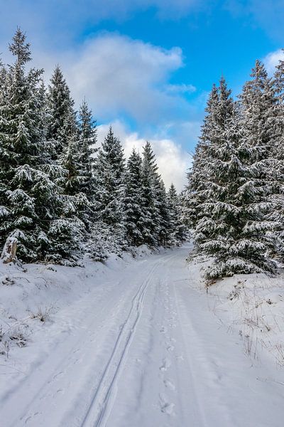 First winter hike on the Rennsteig by Oliver Hlavaty