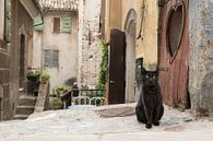 Black cat in the streets of a beautiful old village in the provance by Elles Rijsdijk thumbnail